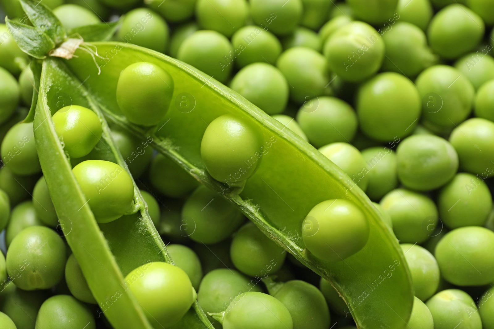 Photo of Many fresh green peas as background, closeup