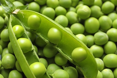 Many fresh green peas as background, closeup