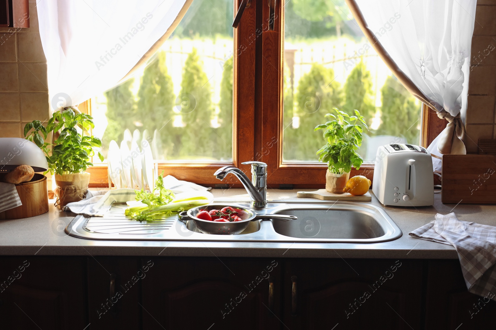 Photo of Fresh raw vegetables near sink in kitchen