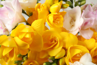 Photo of Beautiful colorful freesia bouquet as background, closeup