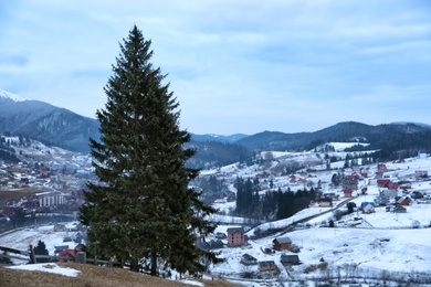 Fir trees near mountain village covered with snow