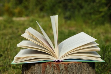 Photo of Open book on tree stump in countryside
