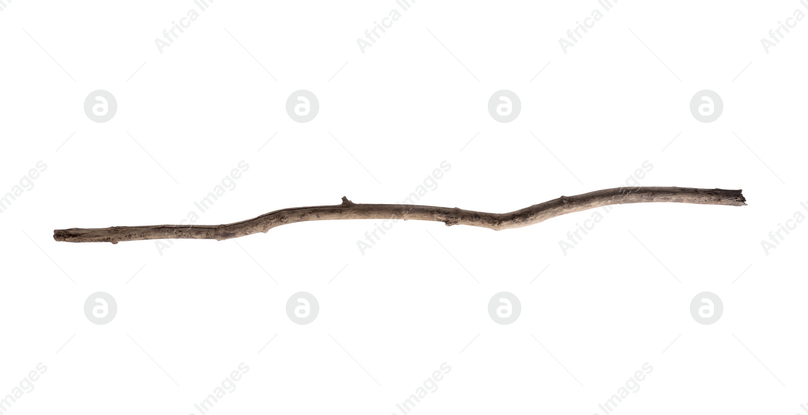 Photo of One old wooden stick isolated on white