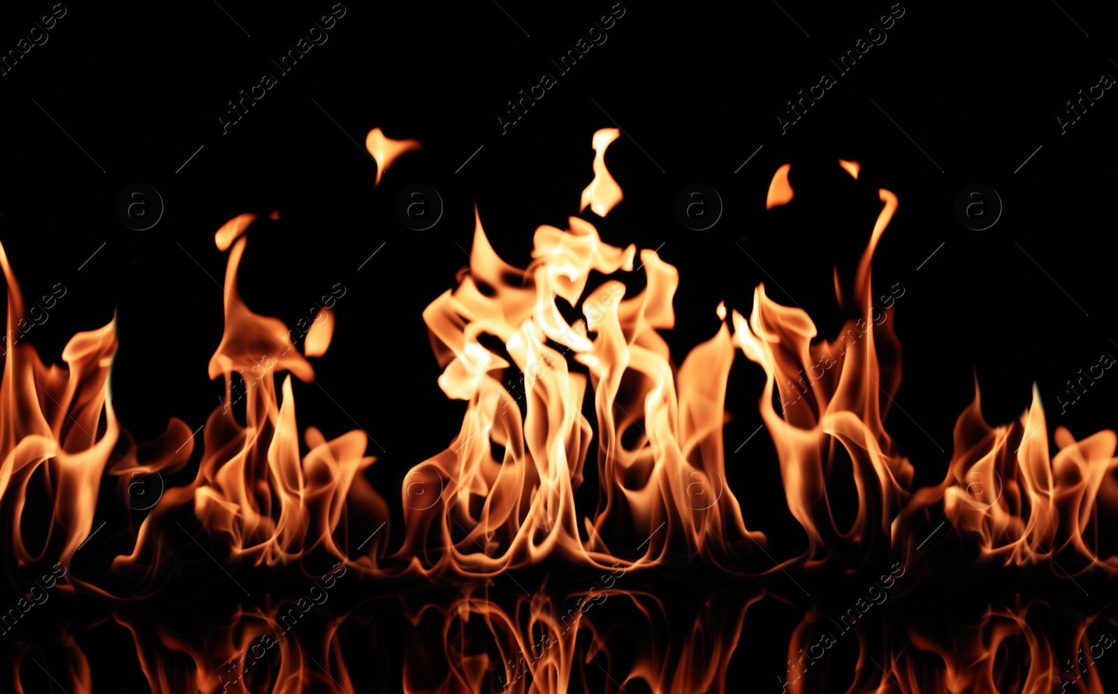 Photo of Beautiful bright fire flames on black background