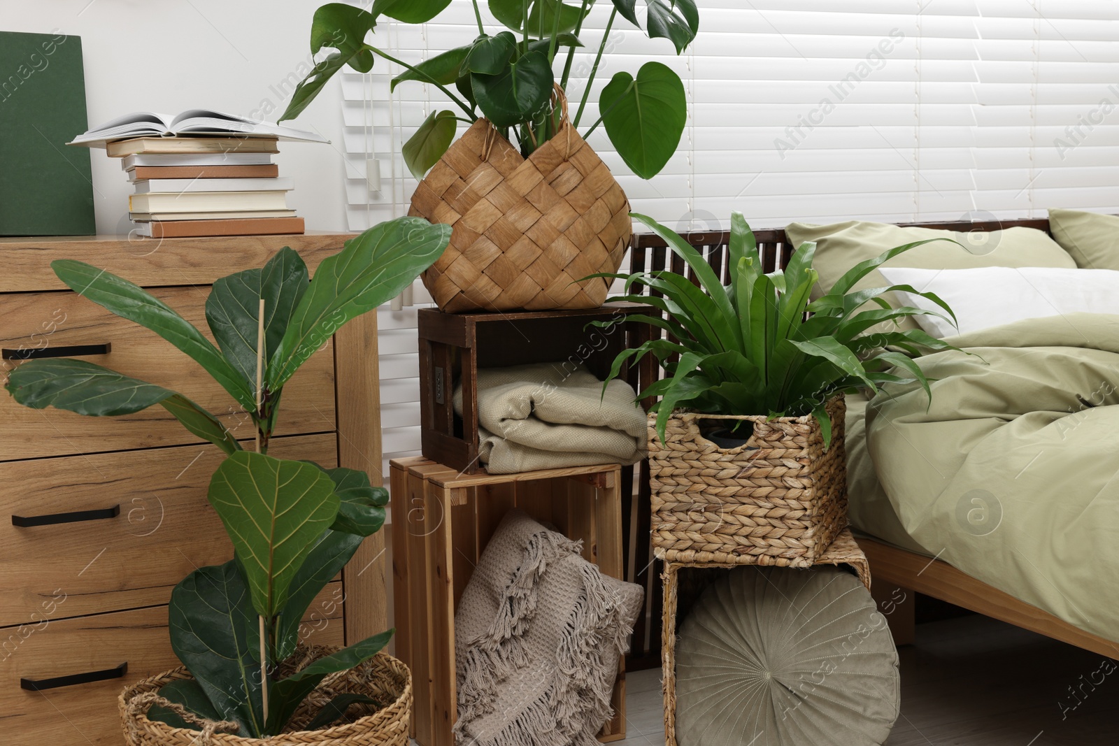 Photo of Beautiful green houseplants and comfortable bed in bedroom