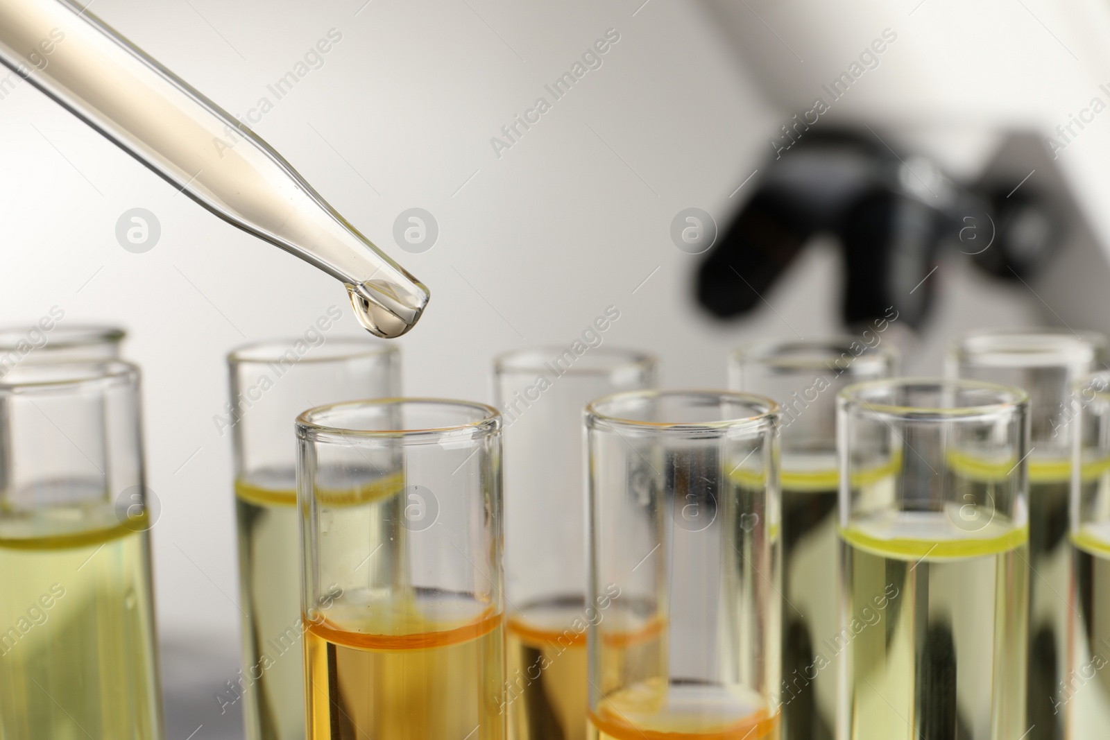 Photo of Dropping urine sample for analysis into tube, closeup