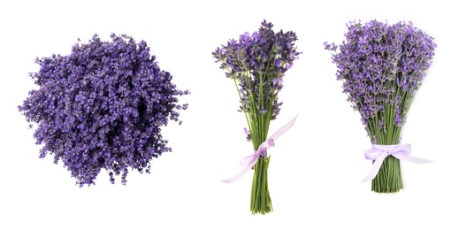 Image of Set of lavender flowers on white background. Banner design 