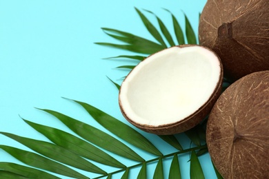 Photo of Fresh coconuts and palm leaves on light blue background. Space for text