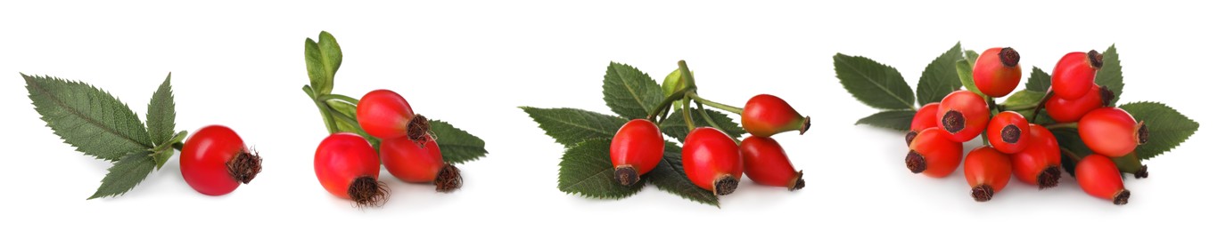 Image of Set with ripe rose hip berries on white background. Banner design