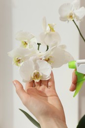 Photo of Woman spraying blooming white orchid flowers with water near window, closeup