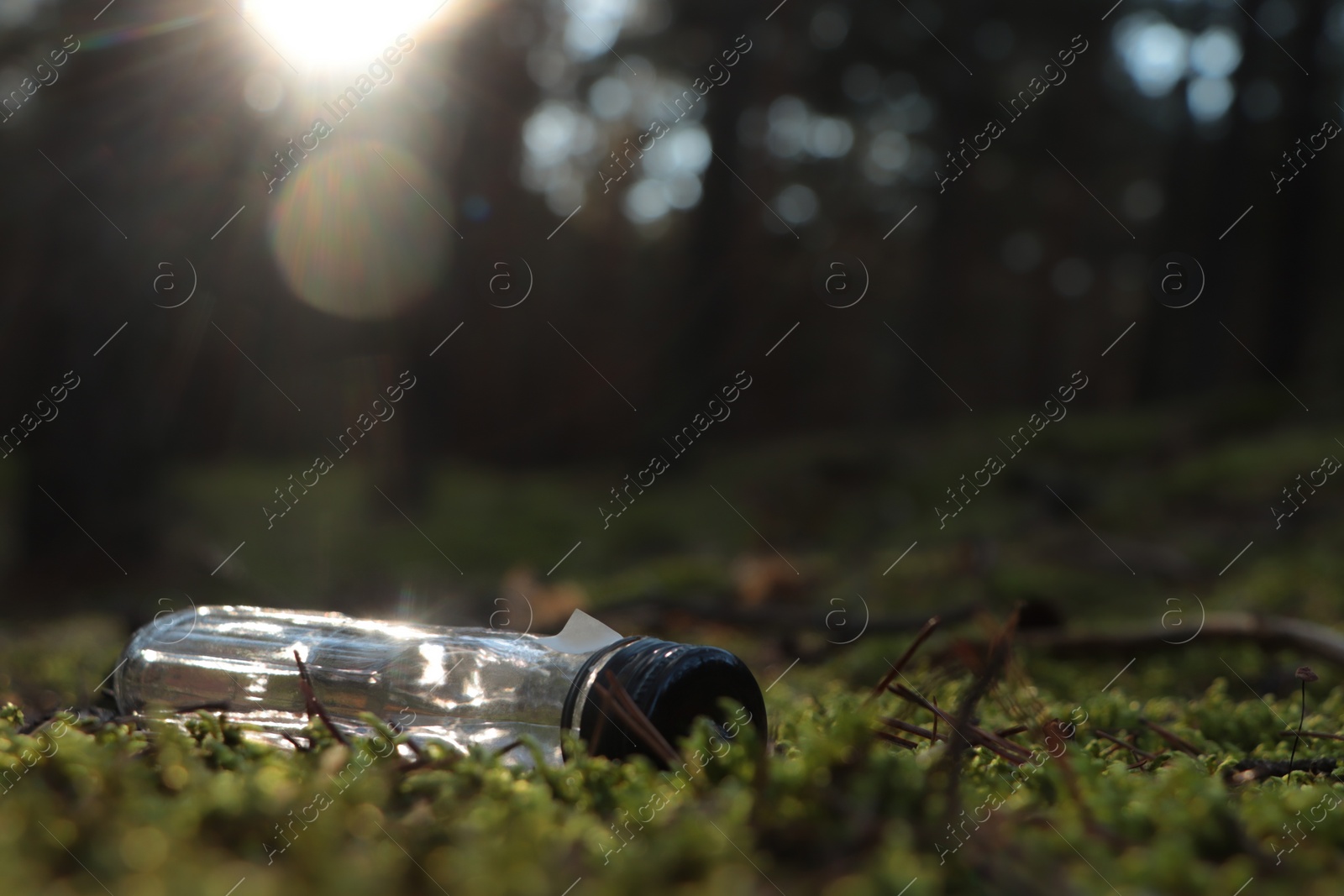 Photo of Used glass bottle on grass in forest, space for text. Recycling problem