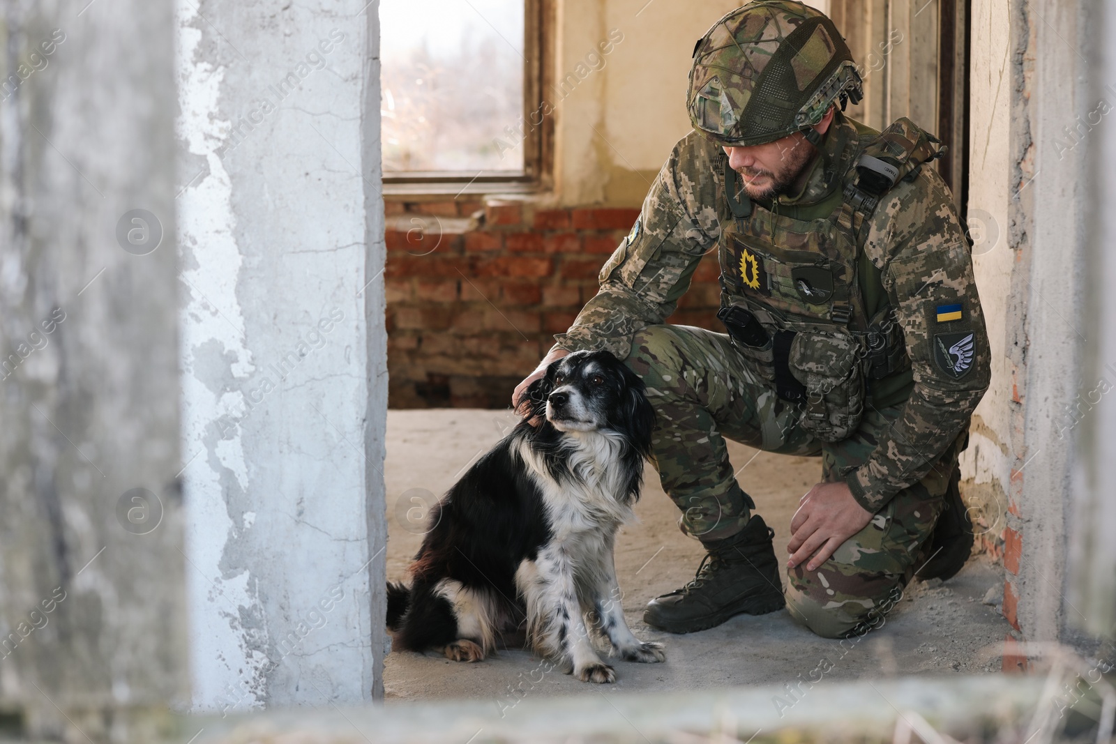 Photo of Ukrainian soldier with stray dog in abandoned building