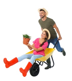 Photo of Couple of gardeners with wheelbarrow on white background