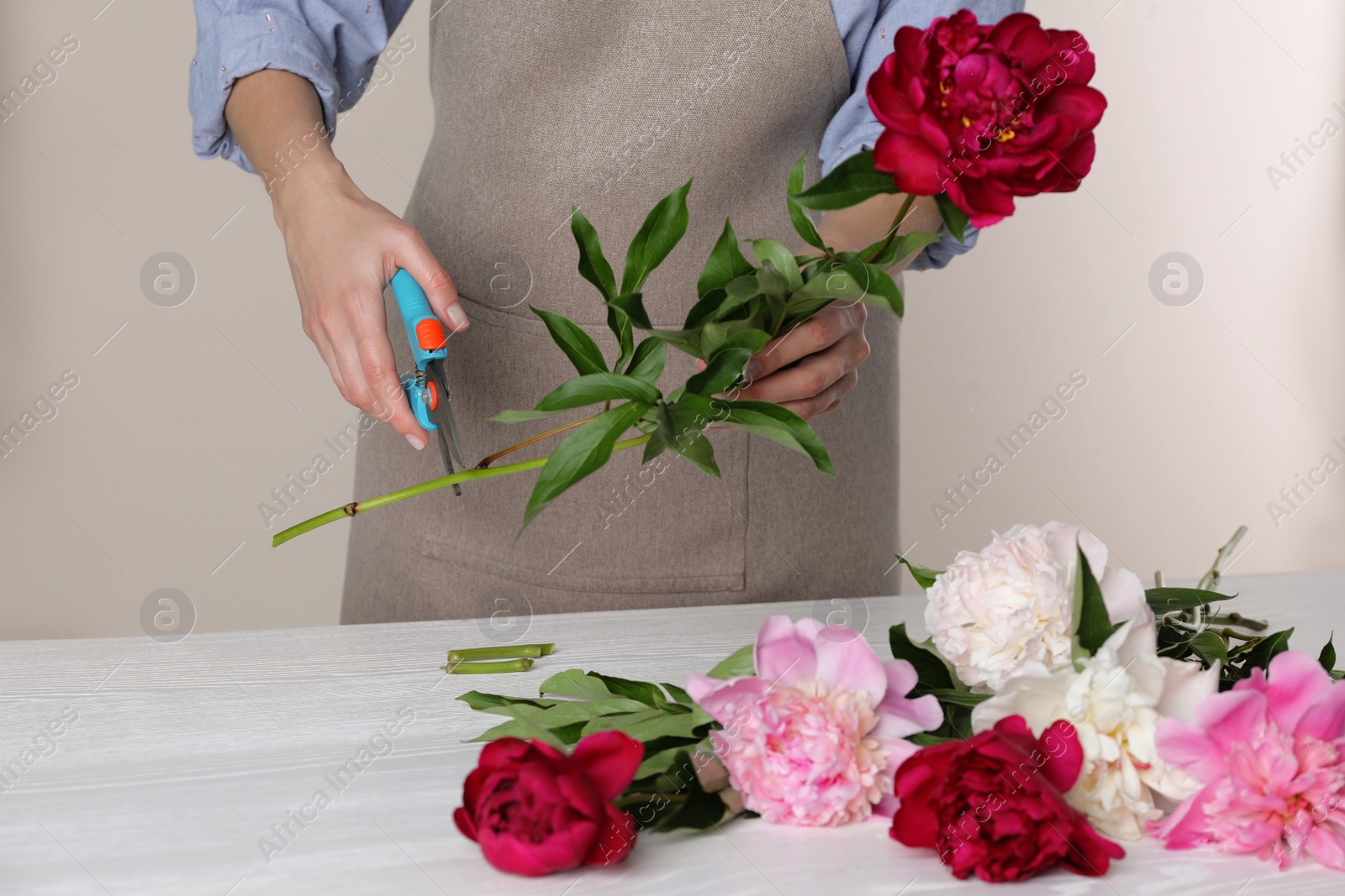 Photo of Florist cutting flower stem with pruner at workplace, closeup