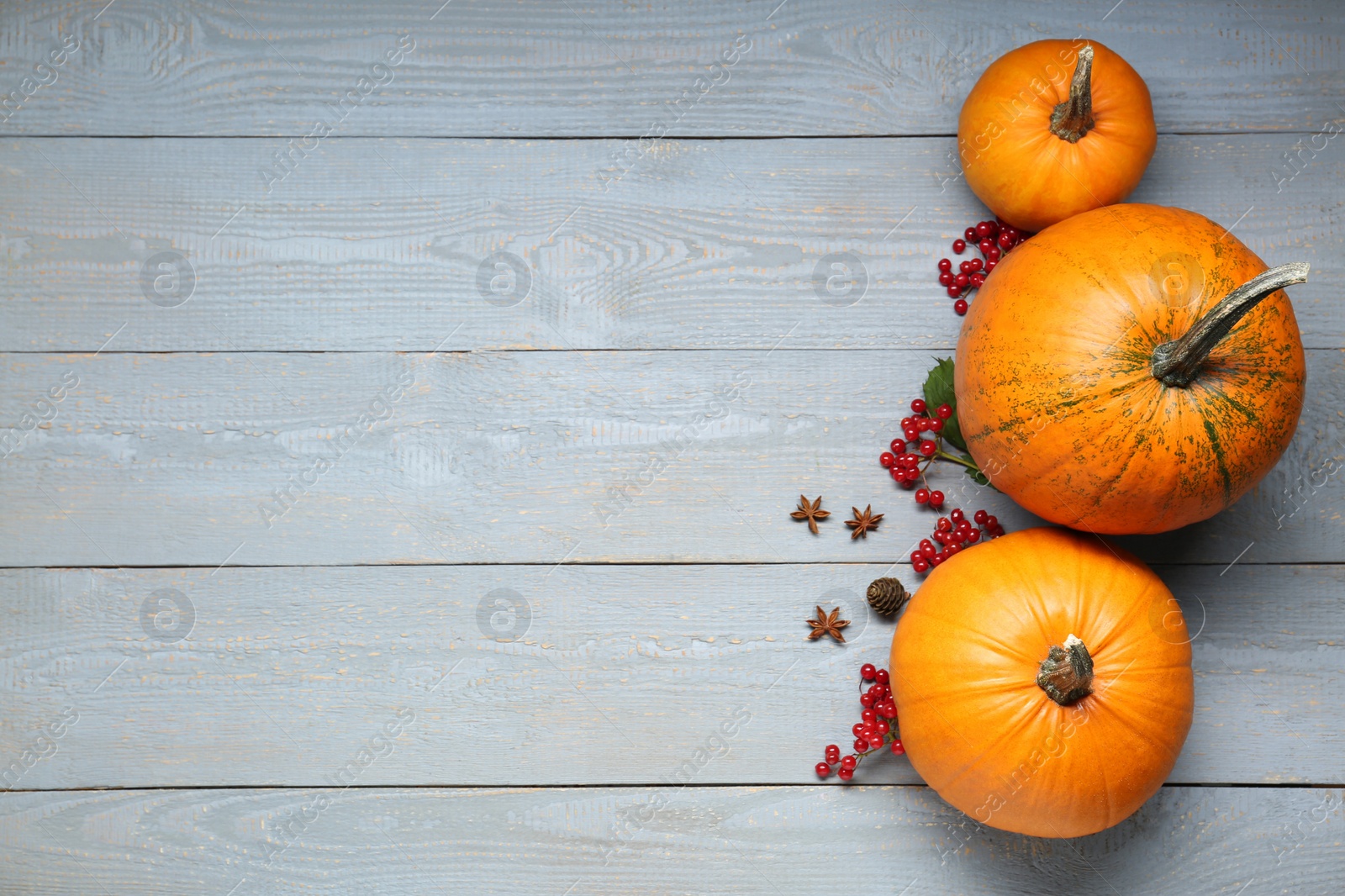 Photo of Thanksgiving day. Flat lay composition with pumpkins on grey wooden table, space for text