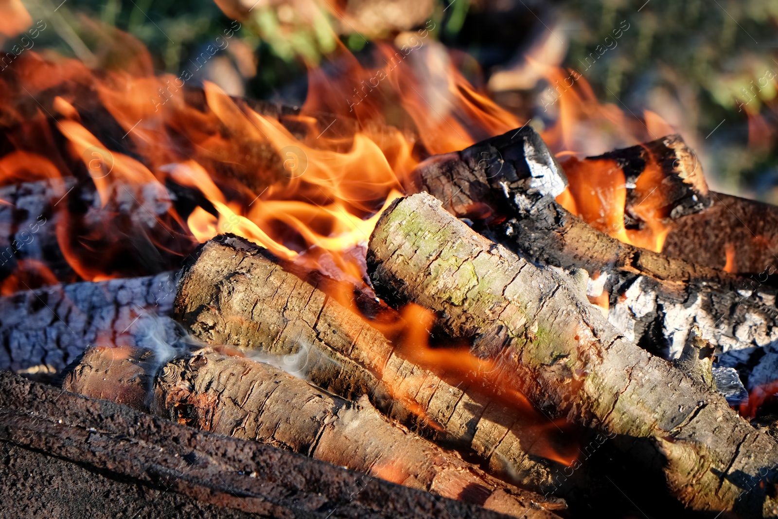 Photo of Metal brazier with burning wood outdoors, closeup