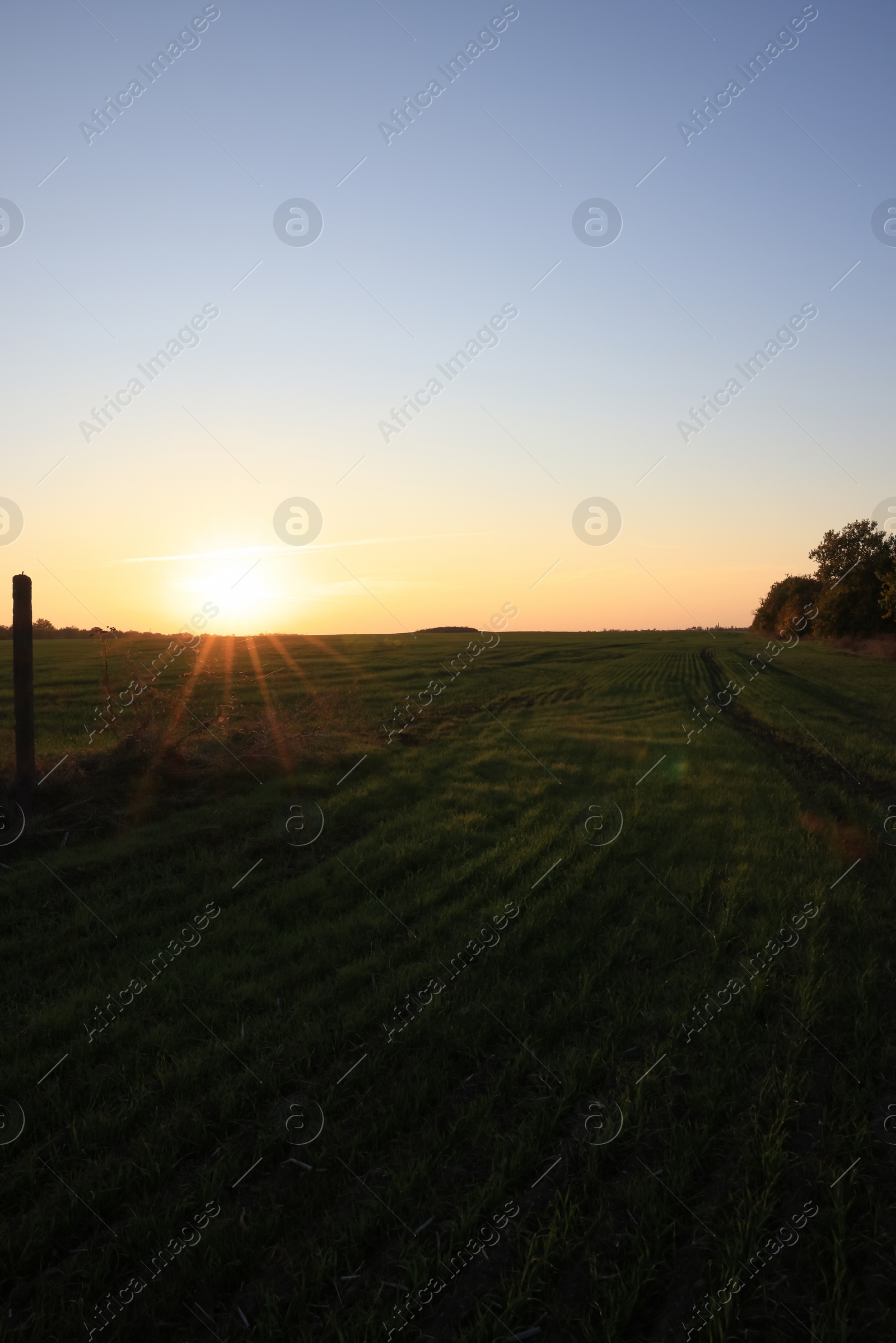 Photo of Picturesque view of beautiful countryside field at sunset