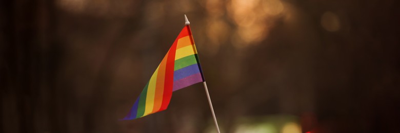 Image of Small LGBT flag on blurred background. Banner design