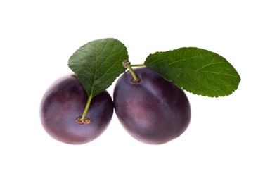 Delicious ripe plums with leaves isolated on white