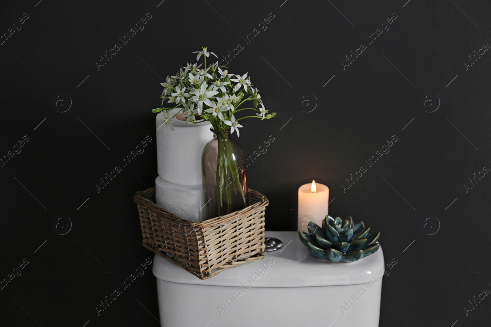 Photo of Decor elements and paper rolls on toilet tank near black wall. Bathroom interior