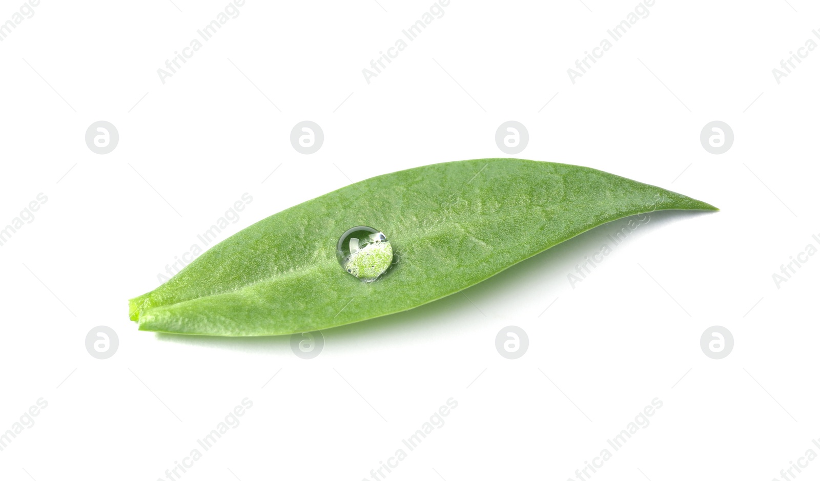 Photo of Green leaf with water drop isolated on white