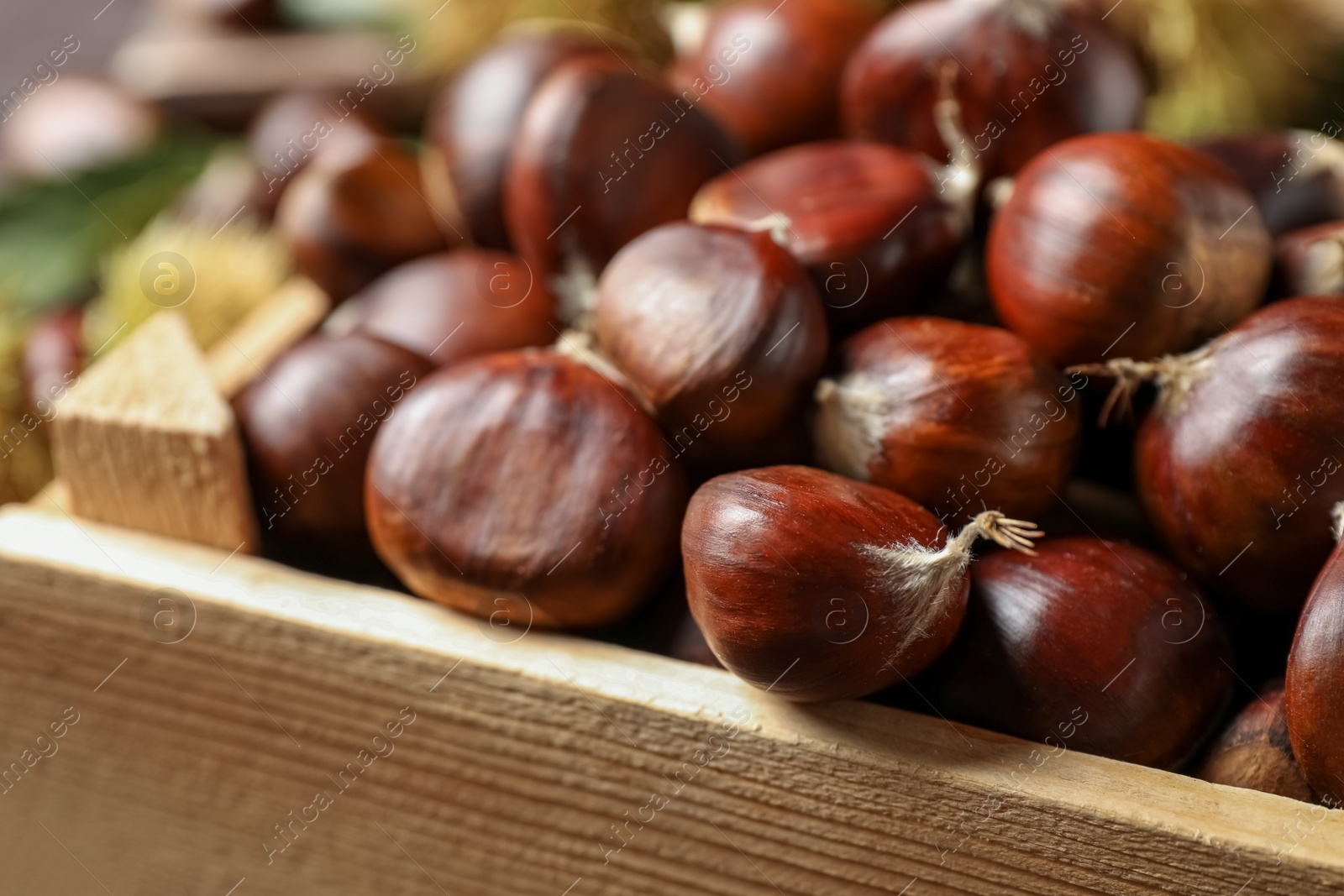 Photo of Fresh sweet edible chestnuts in wooden crate, closeup