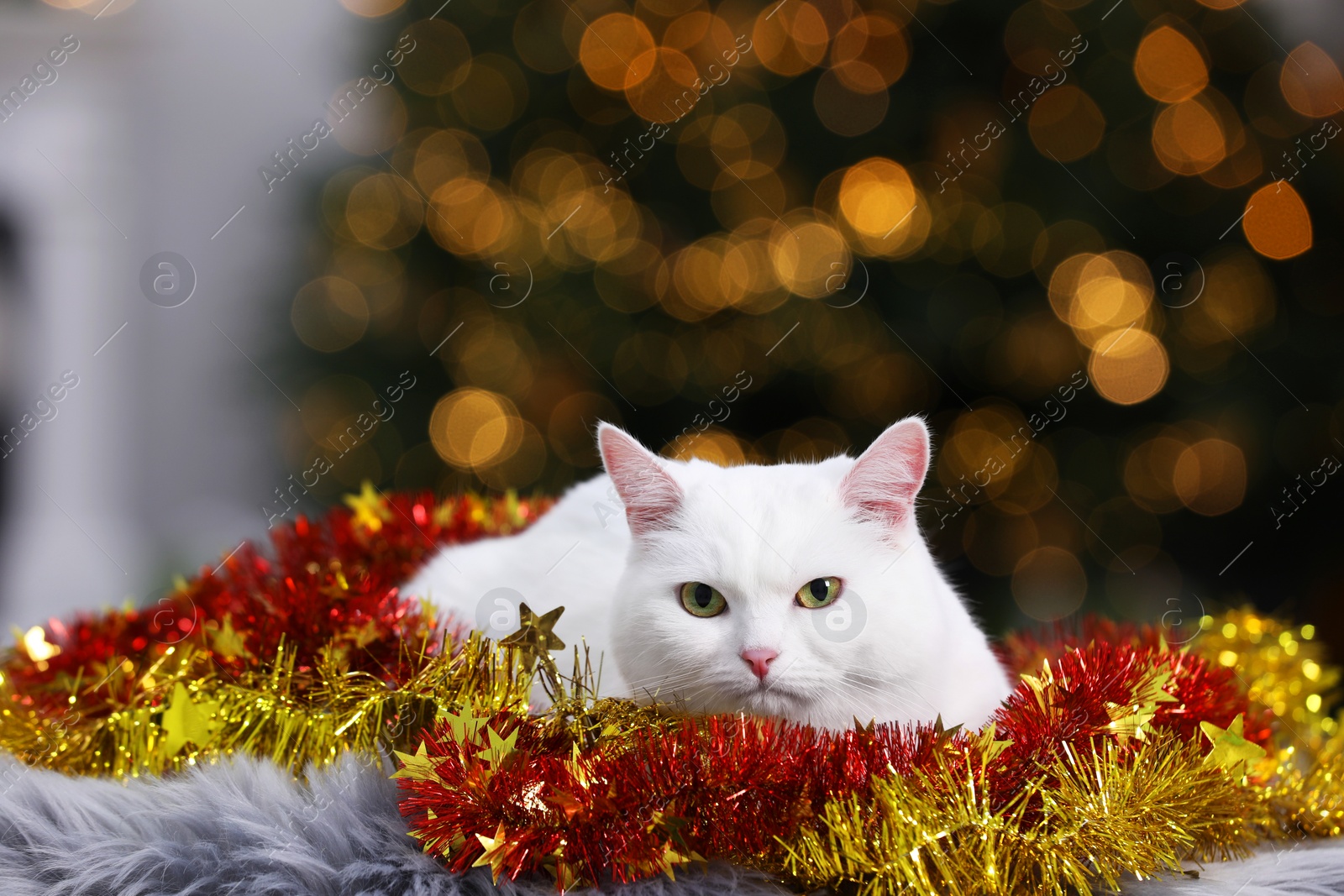 Photo of Cute cat with Christmas tinsel lying on fur rug in cosy room. Space for text