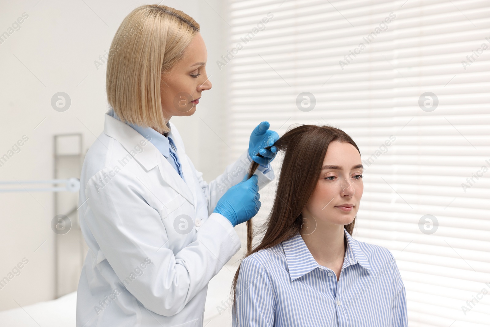 Photo of Trichologist in gloves examining patient`s hair in clinic