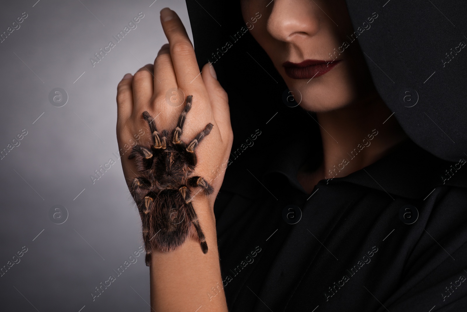 Photo of Mysterious witch with spooky spider on dark background, closeup