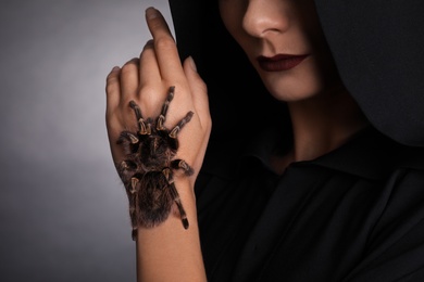 Mysterious witch with spooky spider on dark background, closeup