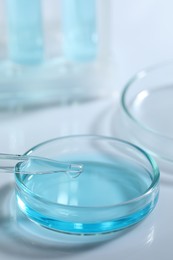 Dripping liquid from pipette into petri dish at white table, closeup