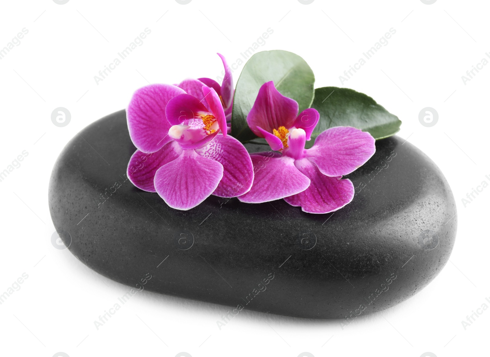 Photo of Spa stone and orchid flowers on white background