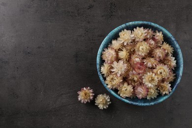 Photo of Bowl with dried strawflowers on grey table, flat lay. Space for text