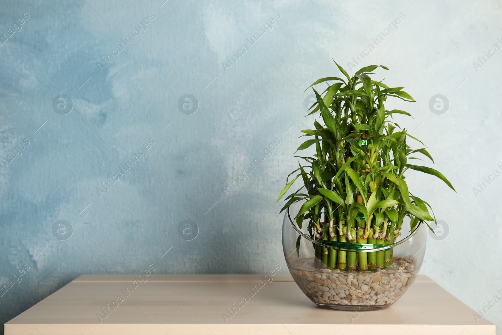 Photo of Green bamboo in glass bowl on wooden table. Space for text