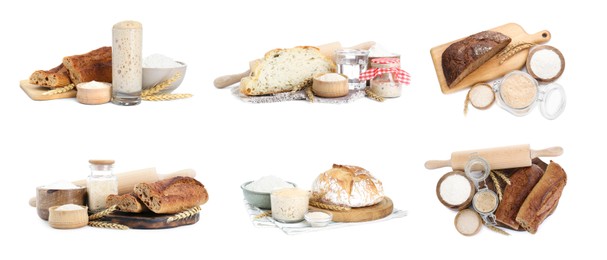 Image of Collage with sourdough starter and different freshly baked bread isolated on white. Leavening agent