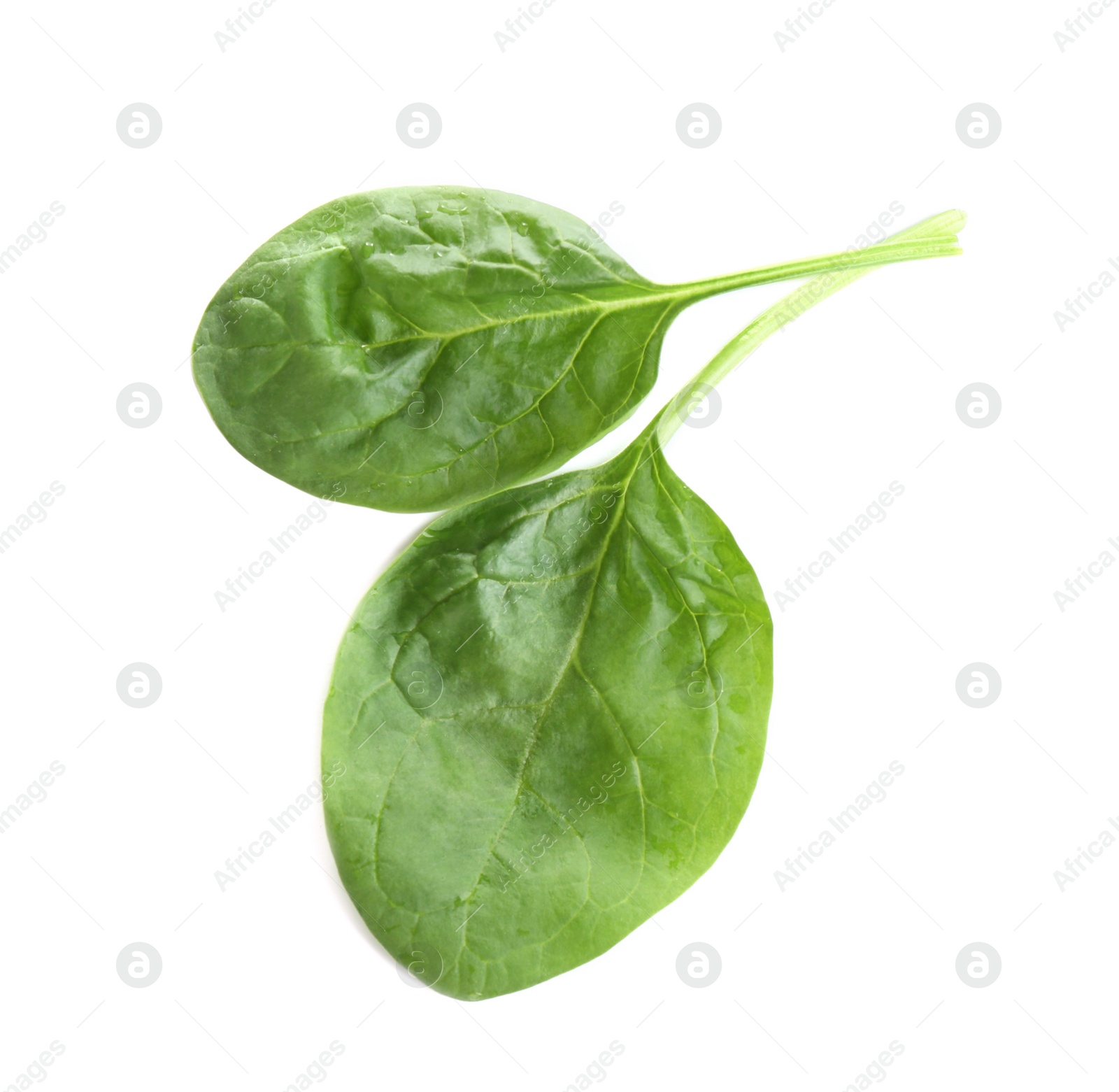 Photo of Fresh green healthy baby spinach leaves isolated on white, top view