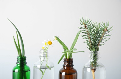 Glass bottles of different essential oils with plants against light blue background, closeup