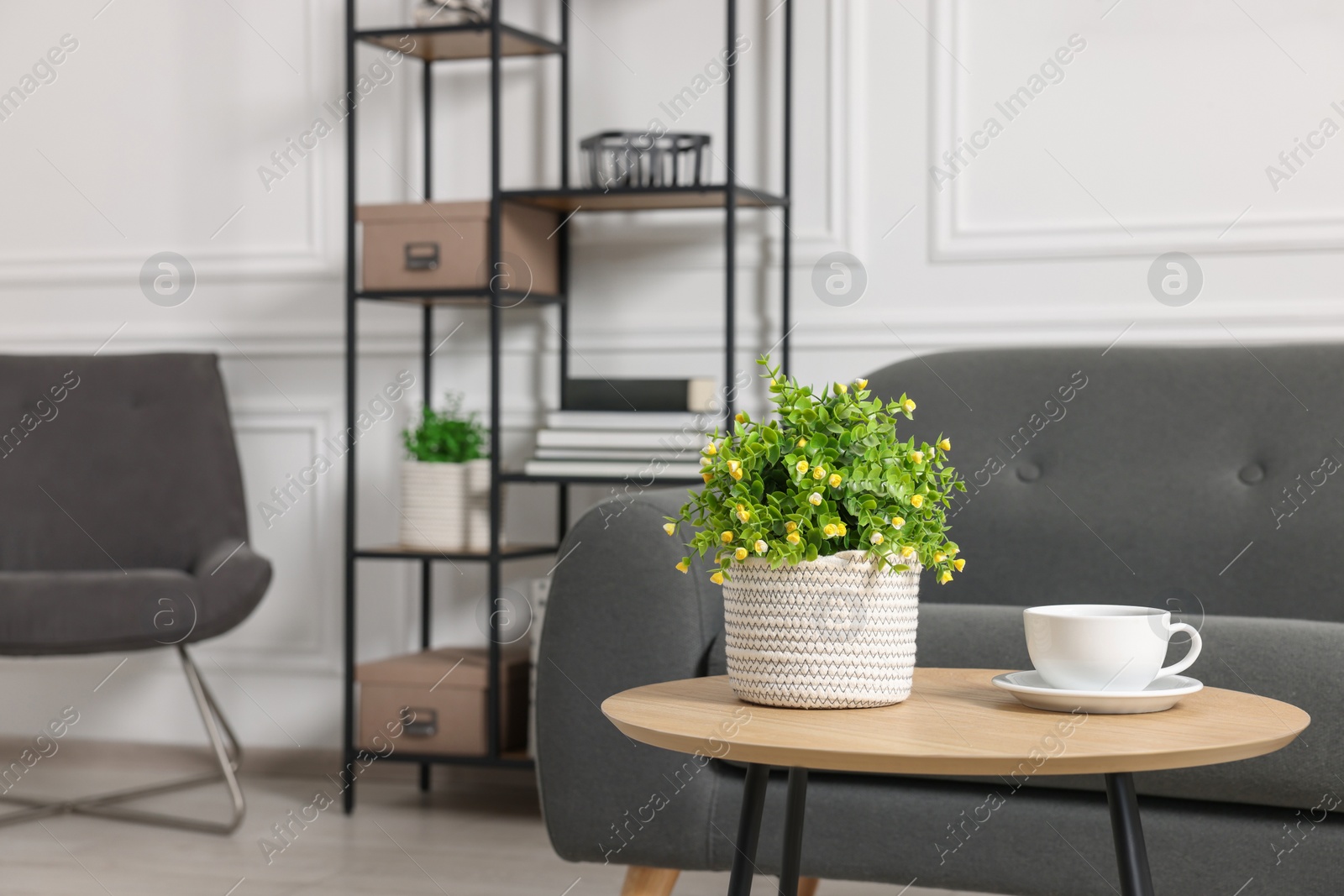 Photo of Potted artificial plant and cup of drink on coffee table near sofa indoors