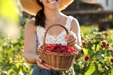 Photo of Woman holding wicker basket with ripe raspberries outdoors, closeup