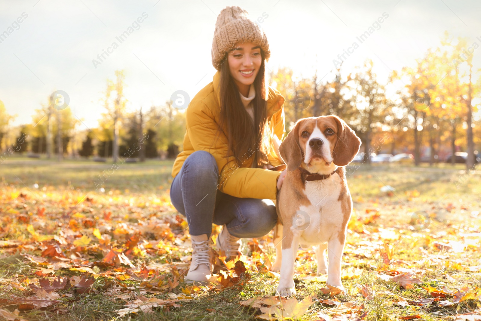 Photo of Woman walking her cute Beagle dog in autumn park