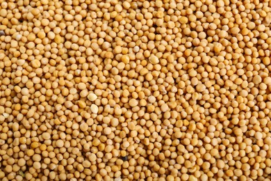 Photo of Aromatic mustard seeds as background, top view