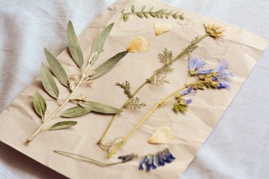 Photo of Sheet of paper with dried flowers and leaves on white fabric, closeup