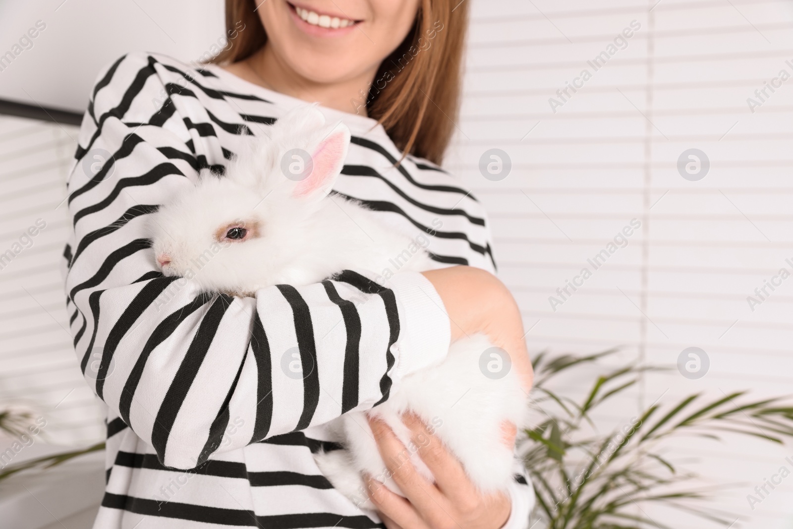 Photo of Woman with fluffy white rabbit indoors, closeup and space for text. Cute pet