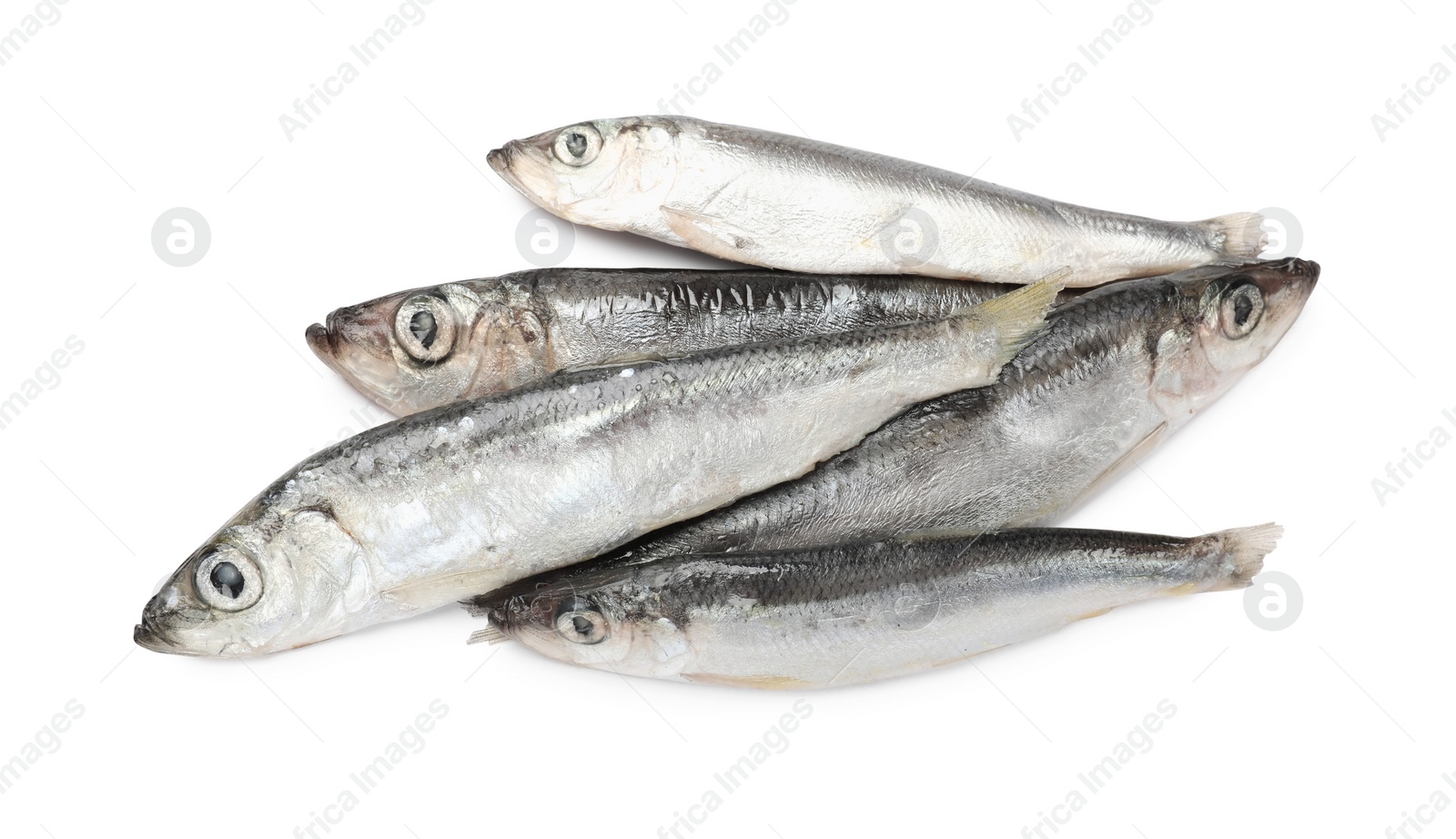 Photo of Fresh raw sprats isolated on white, top view