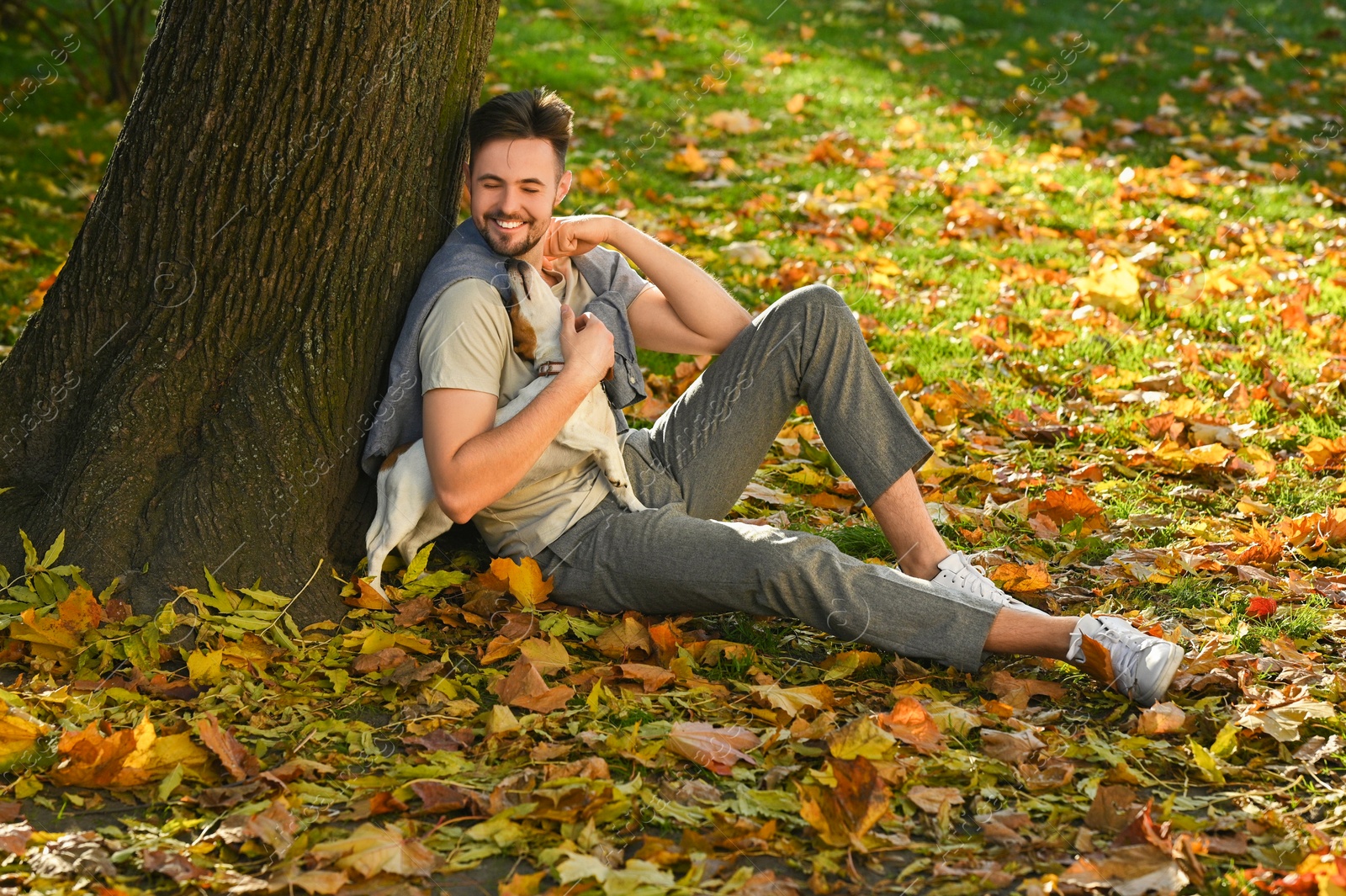 Photo of Man playing with adorable Jack Russell Terrier in autumn park. Dog walking