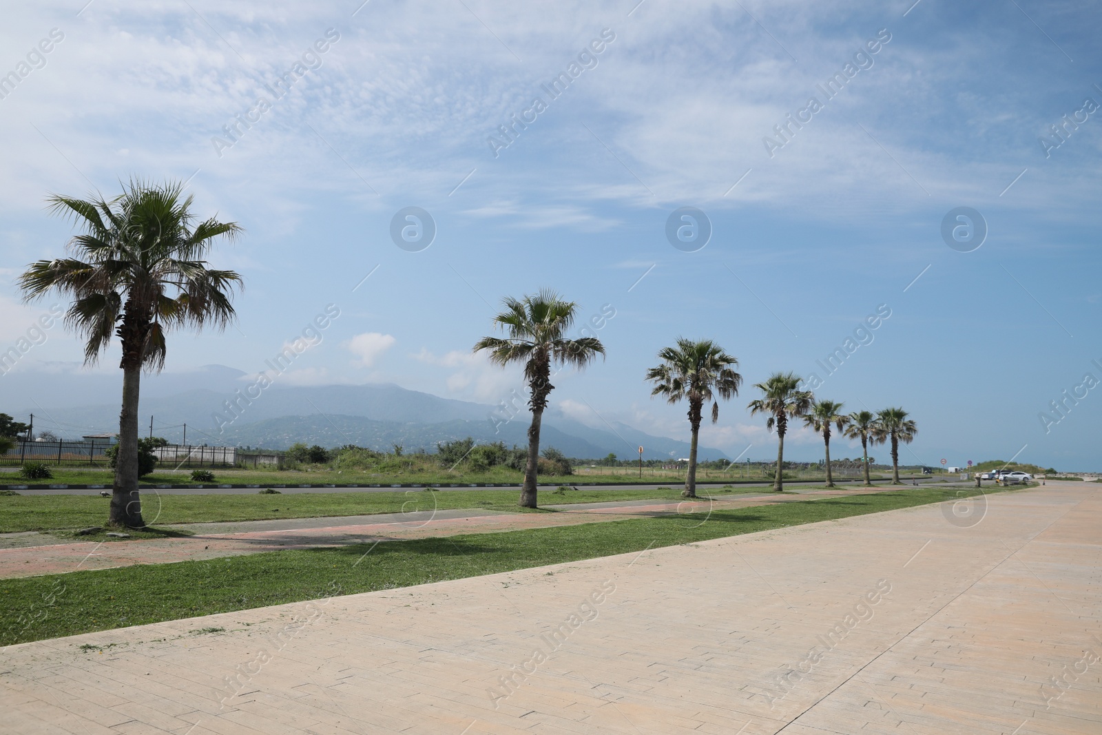 Photo of Beautiful view of tropical palm trees on sunny day