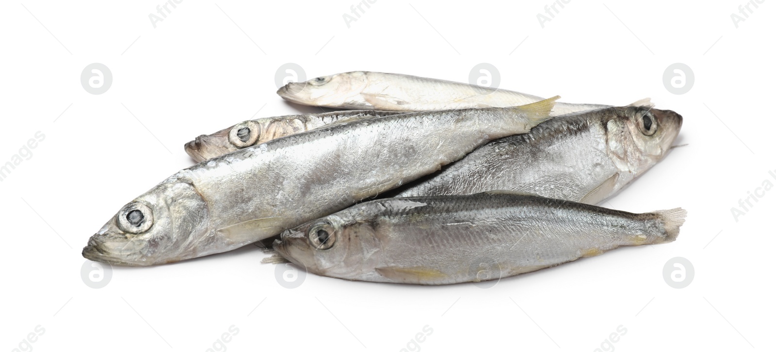 Photo of Fresh raw Baltic sprats isolated on white