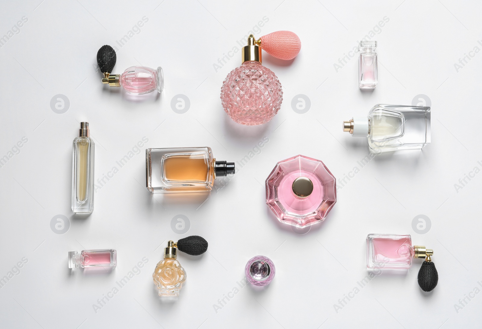 Photo of Different luxury perfume bottles on white background, top view