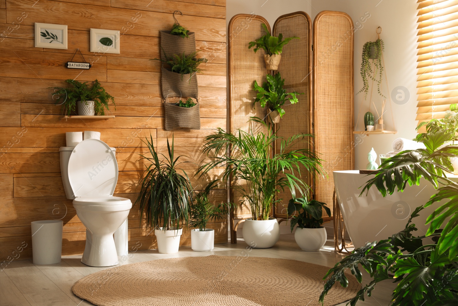 Photo of Stylish bathroom interior with toilet bowl and green plants