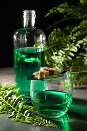 Photo of Absinthe in glass, spoon with brown sugar cubes and fern leaves on gray table, closeup. Alcoholic drink